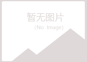 东山区夜白建设有限公司